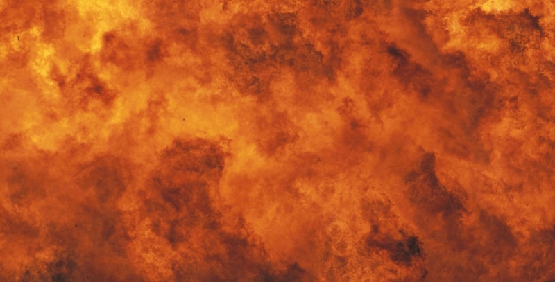    Фото: Arco Images/LaTerraMagica/Globallookpress