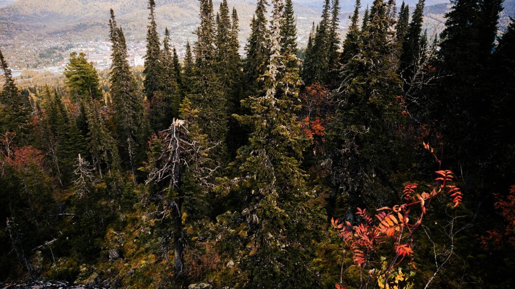    Фото: Anastasia Sorgina/Globallookpress