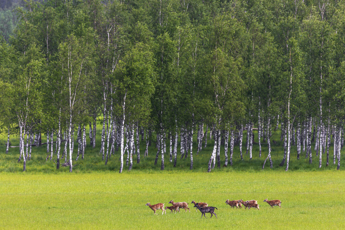 Peter Vahlersvik/istock