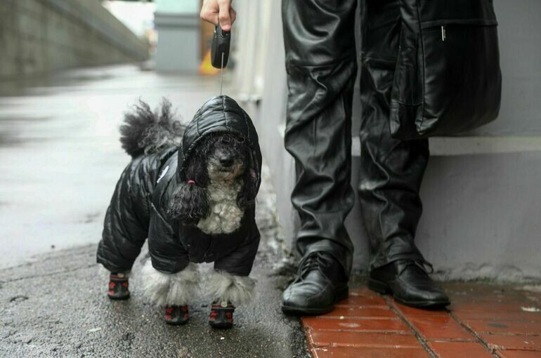   Новосильцев Артур/Агентство «Москва»