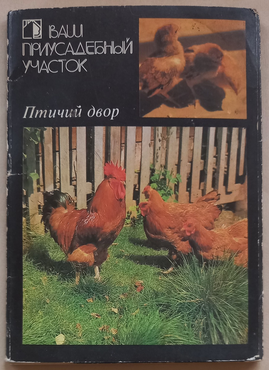 1989 г.. Обложка к набору открыток "Птичий двор". Из серии "Ваш приусадебный участок". Выпуск 5. Фото П. Истоминой. Автор текста Л. Исаченко. Обложка художника А. Никулина. Издательство "Планета". Тираж 1 500 000 экз.. Из коллекции автора.