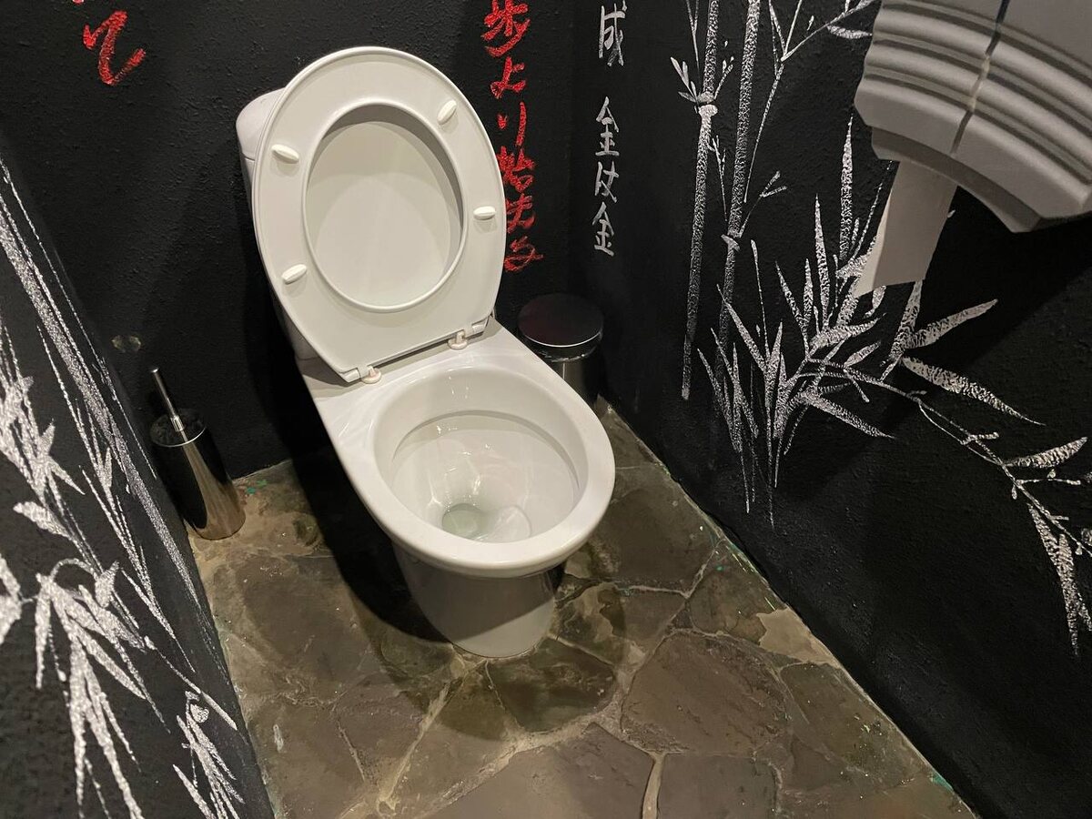    Как живут в Японии: особенность гигиены японских женщин, благодаря которым у них чистые туалеты, каких нет нигде в мире