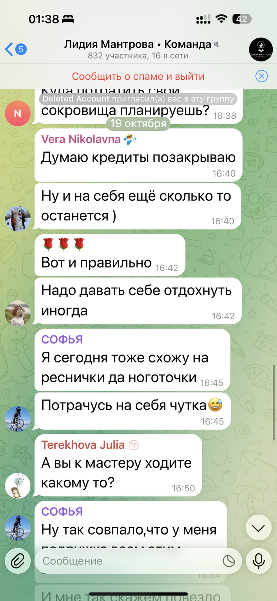 Скрин шоты из Telegram-чата «Лидия Мантрова. Команда». Фото: Хатуна Колбая