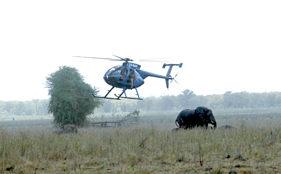 Утро в африканской саванне. Источник фото: travelask.ru