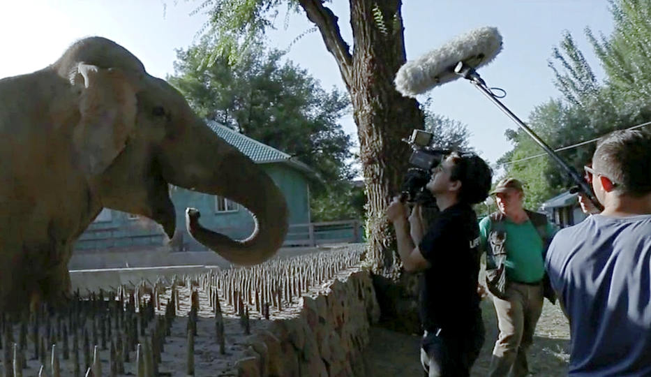 Батыр дает интервью журналистам.