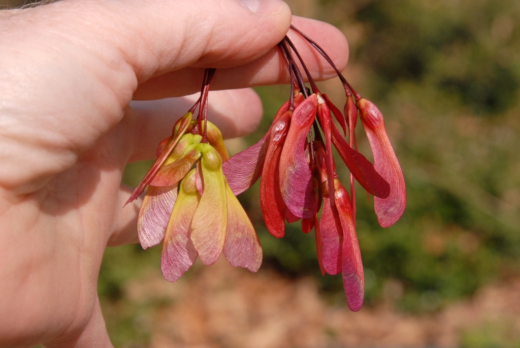 Фото Джима Роббинса