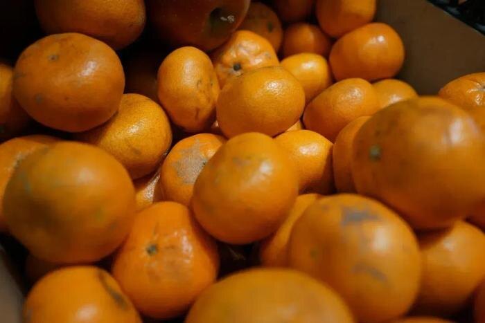 Обложка © Life.ru