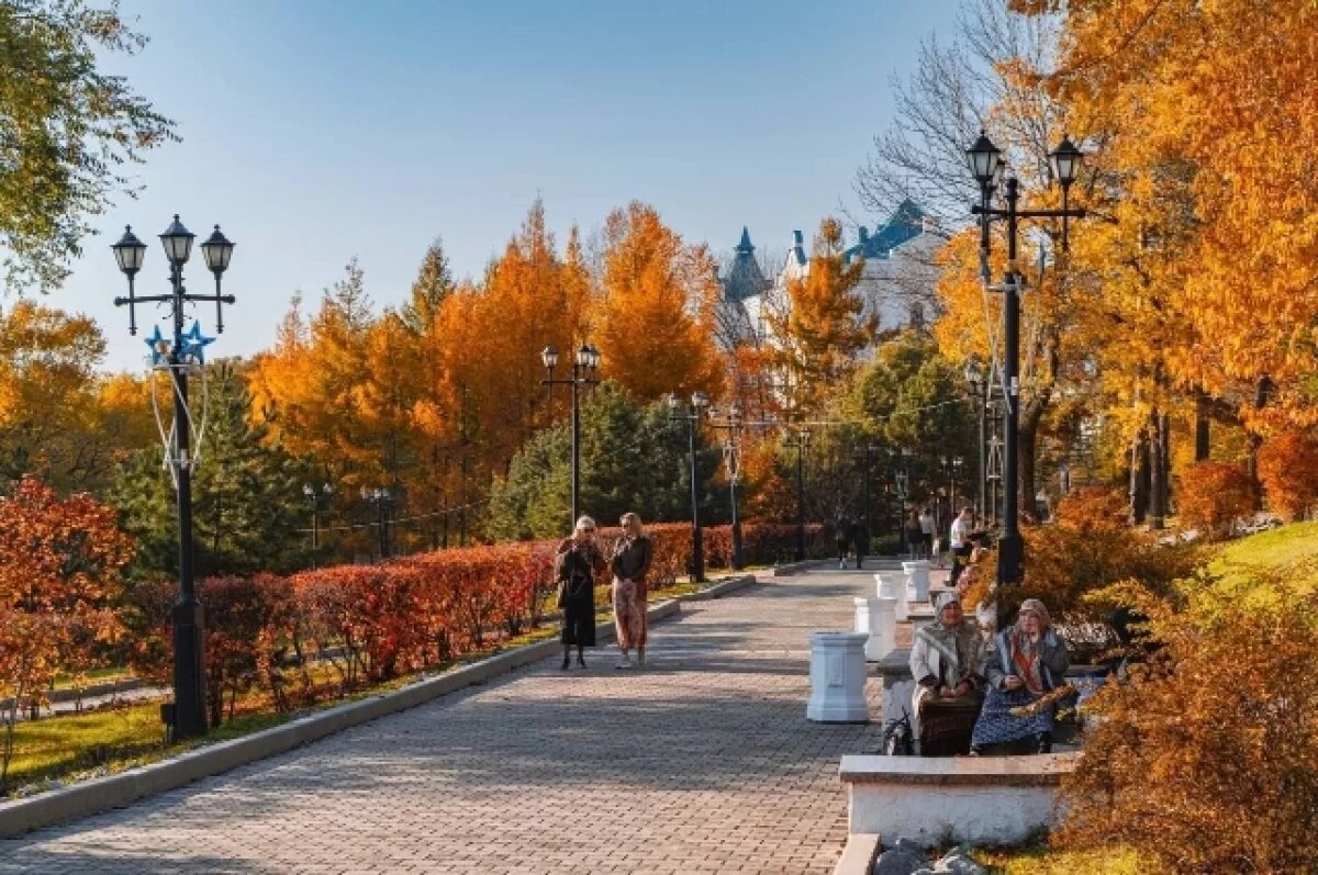    Контраст дня и ночи: какая будет погода в Хабаровске и крае 25 октября