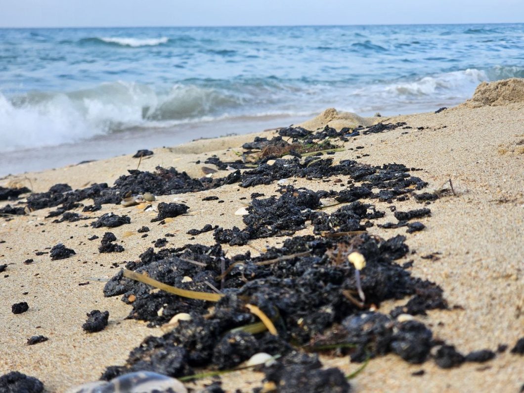 Фото: Юрий Озаровский