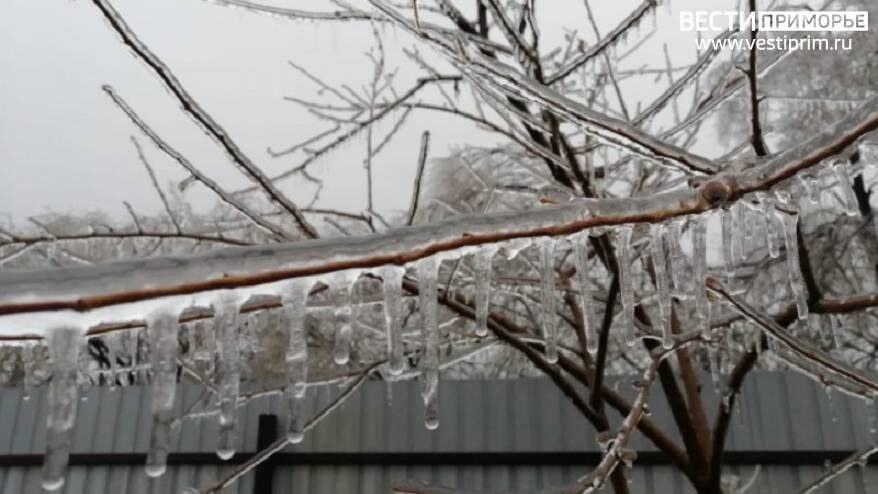    Источник фото: Первой фото из архива "Вести: Приморье", второе и третье - "Маглипогода"