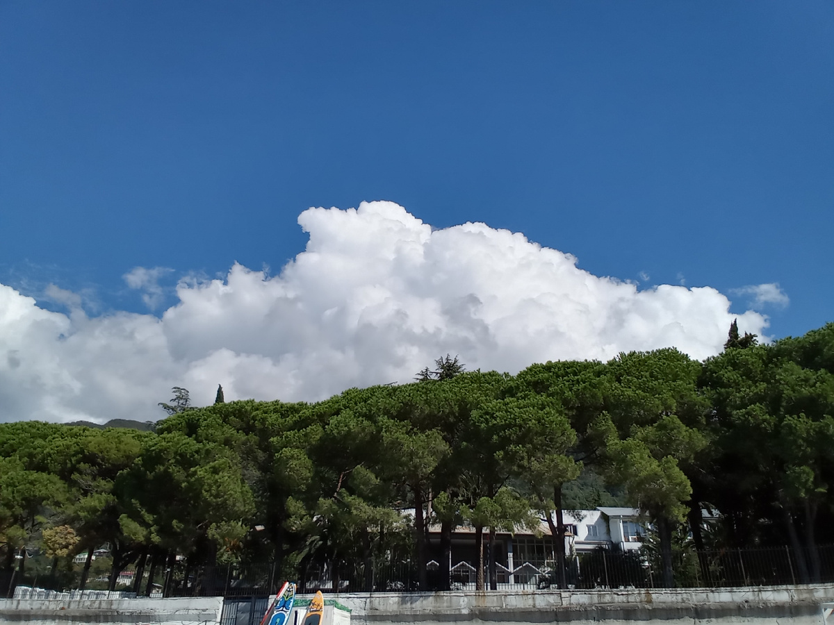 фото  автора