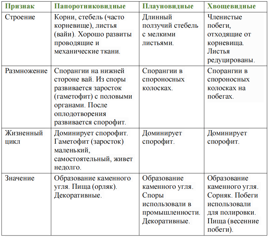 Таблица: Отделы папоротниковидные, плауновидные, хвощевые