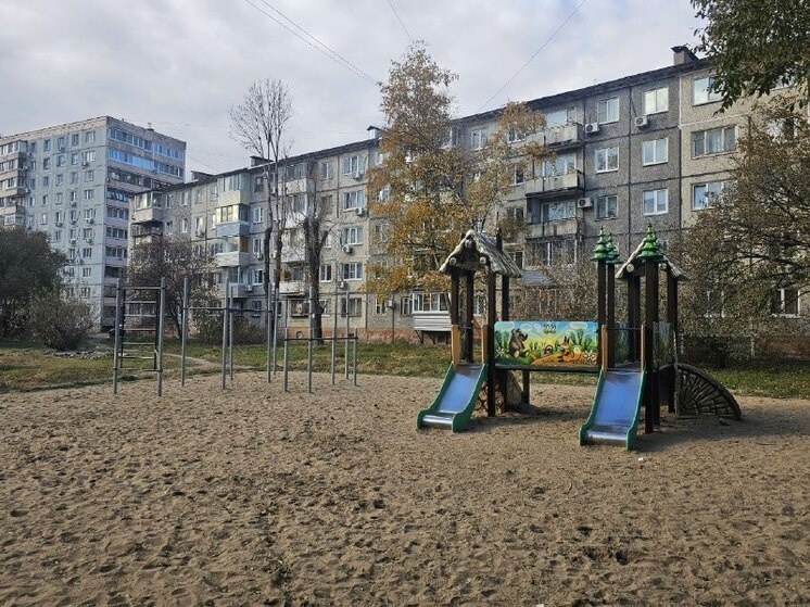     Благодаря губернатору на хабаровской улице Кубяка открыли детскую площадку фото: пресс-служба министерства ЖКХ Хабаровского края