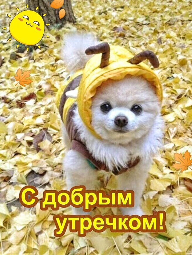 Фото интернета