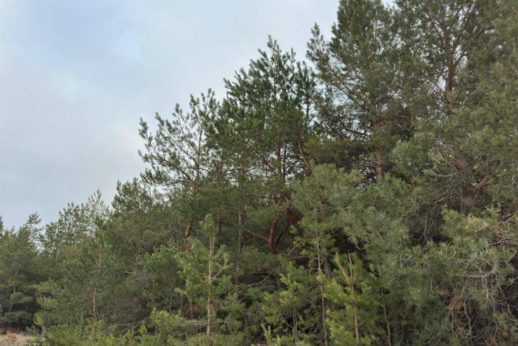    Фото: Правительство РО Веселовские вести