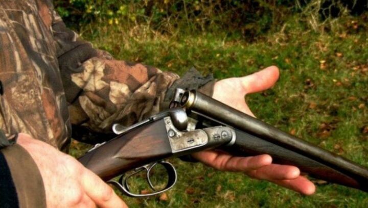    Фото:пресс-служба министерства природных ресурсов Хабаровского края