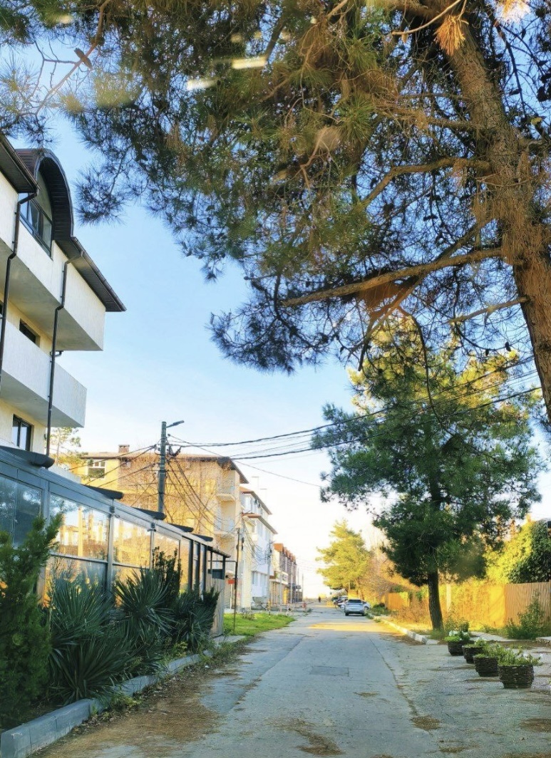 Фото из интернета 