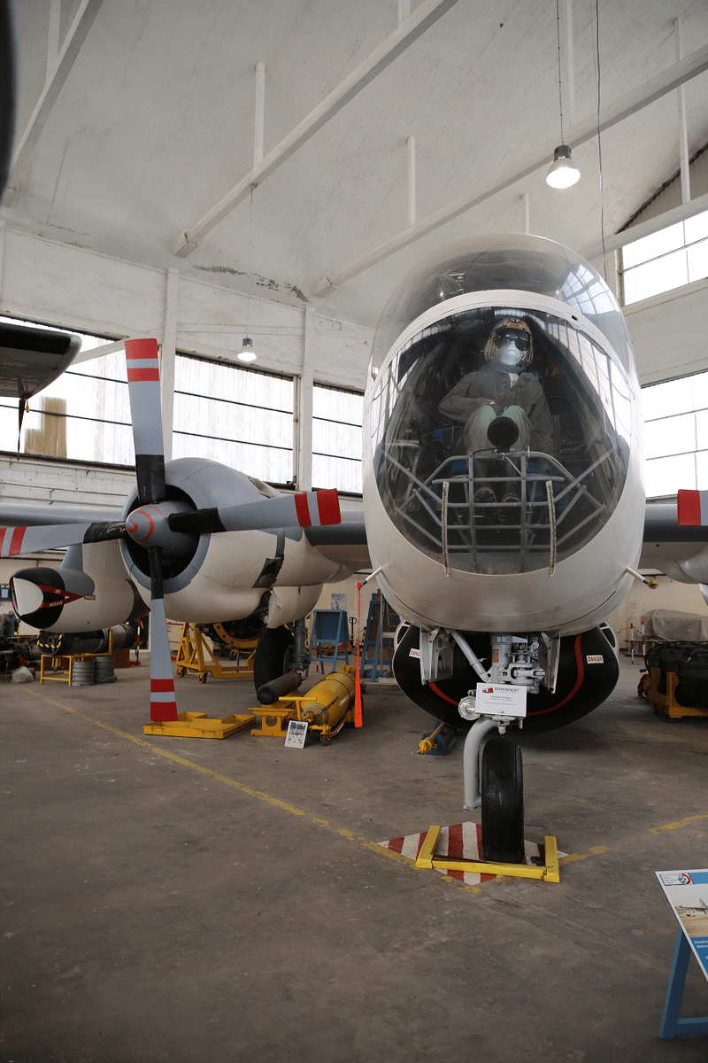 Картинки Яндекса