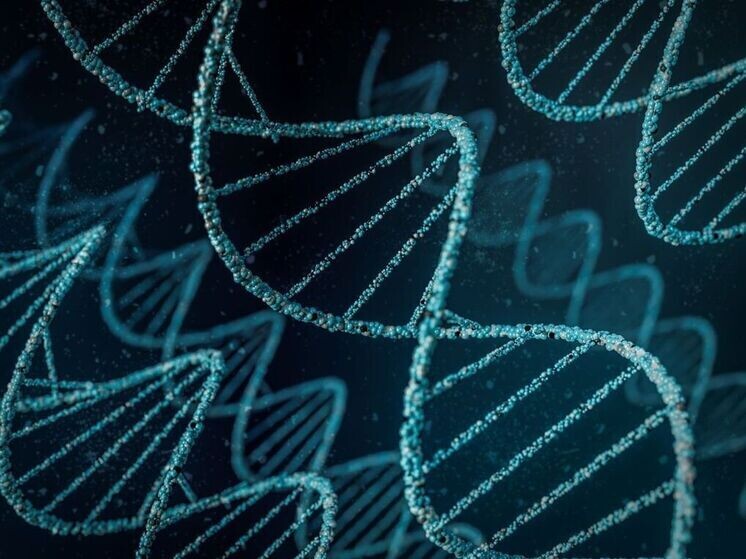     Фото: ru.freepik