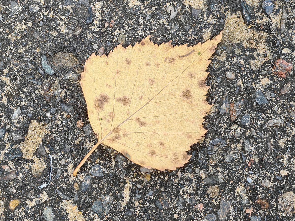 Фото автора канала.