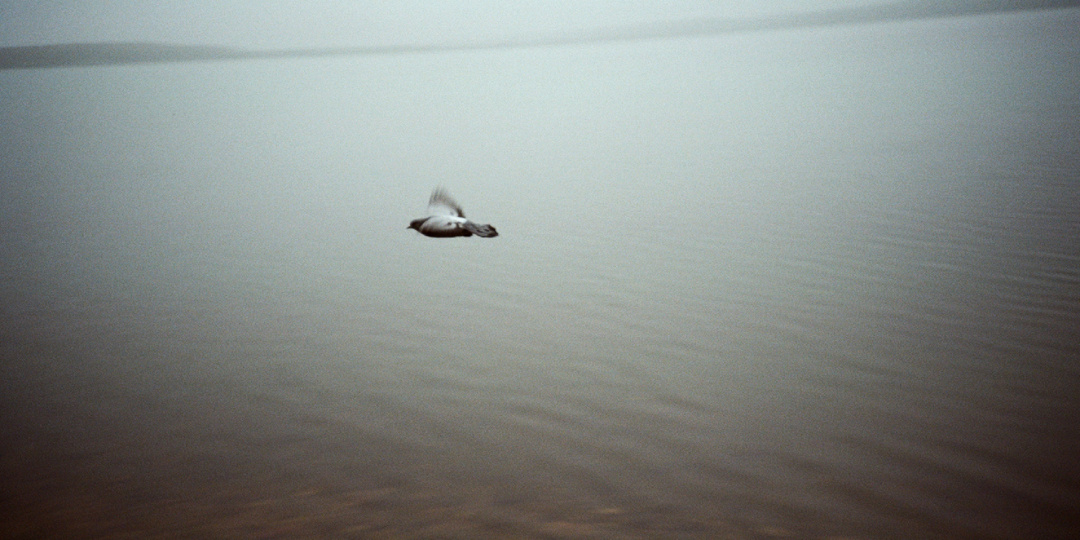 Мечтать и (не) сомневаться.