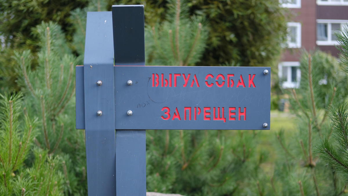 Установить монументальную табличку с запретом гораздо проще, чем обустроить площадку для выгула. Фото Александр Смирнов
