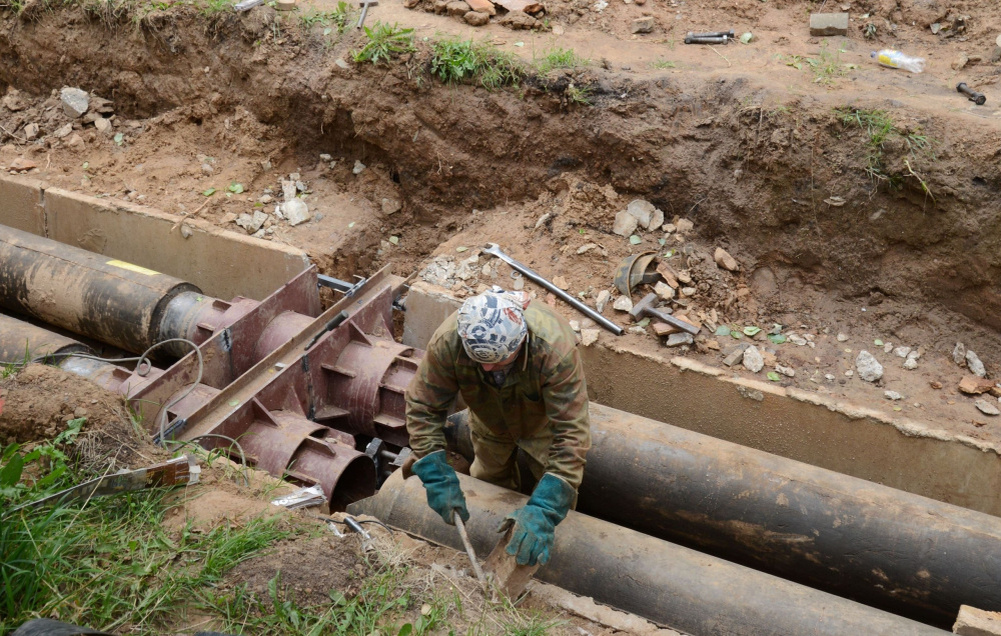    ФОТО: grad.kostroma.gov.ru