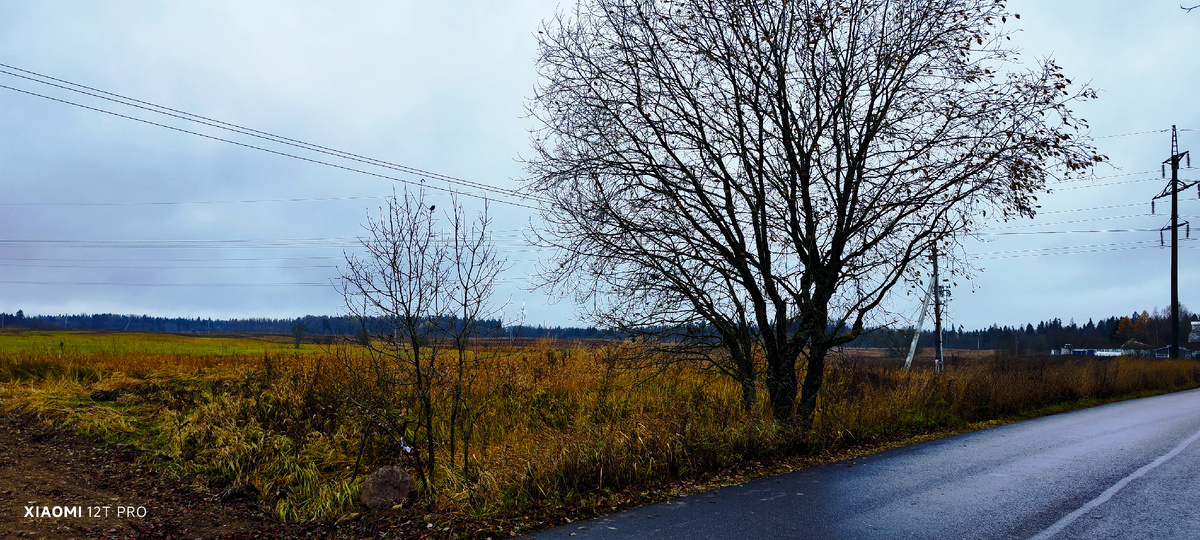 25 октября 2025 года.