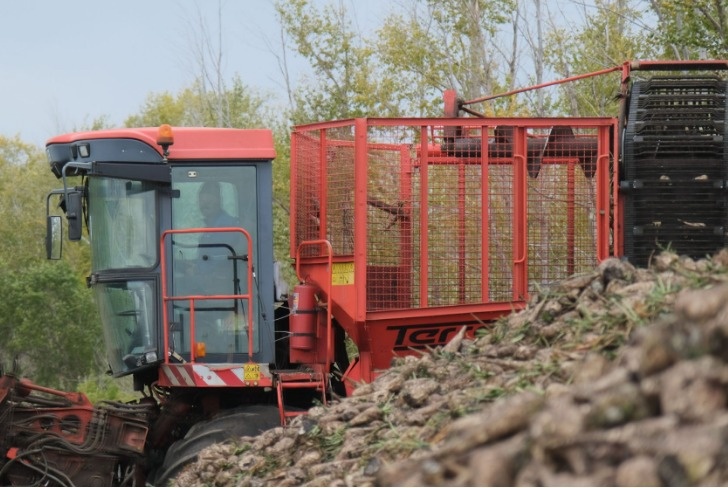    Минсельхоз РБ