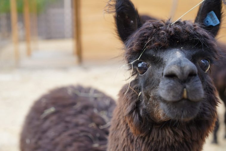 Фото: ЦПКиО