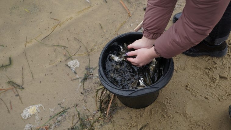 Фото: Облкомприроды