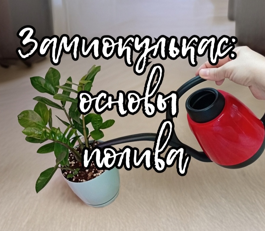 Для обложки