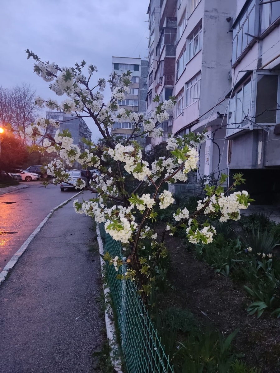    Морозы ворвутся резко и без стука: Вильфанд сообщил точную дату похолодания