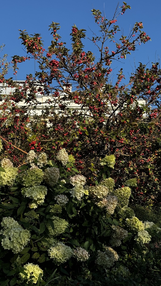 Площадь у большого театра