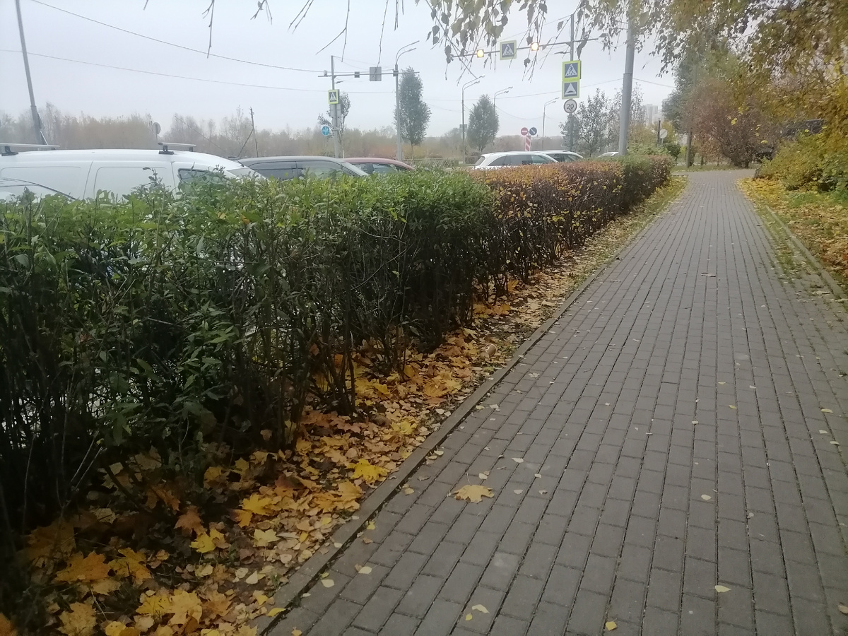 Осень в городе