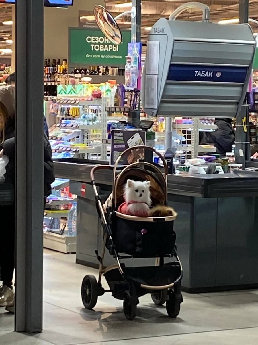 Сообщество ВКонтакте "Купчино - Фрунзенский район | Подслушано"