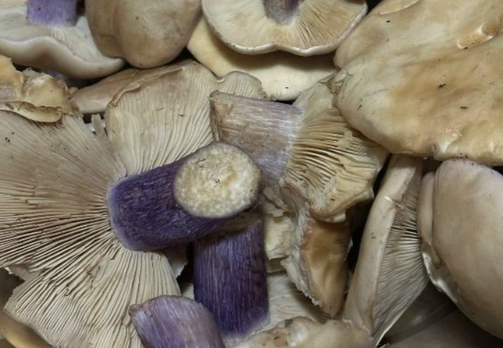    фото: открытые источники Редактор