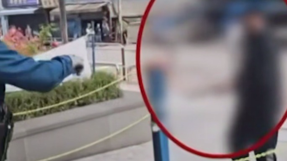    Фото: Скриншот видео / Shot/Telegram