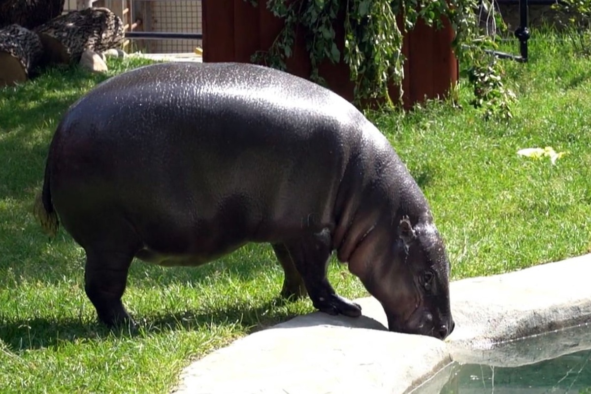    Фото: департамент культуры Москвы