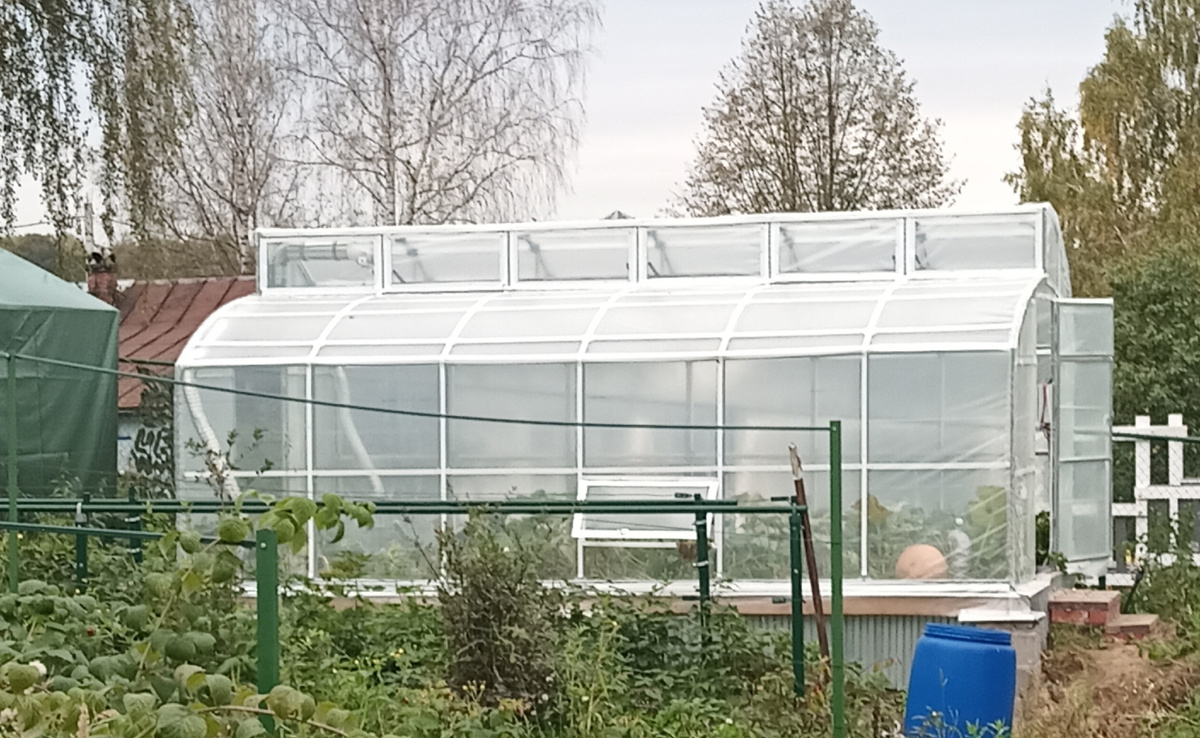 моя Прелесть