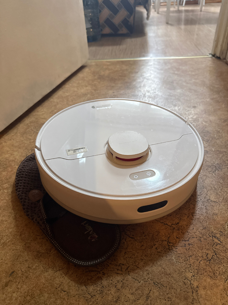 Мой дримчик ( dreame ) за работой