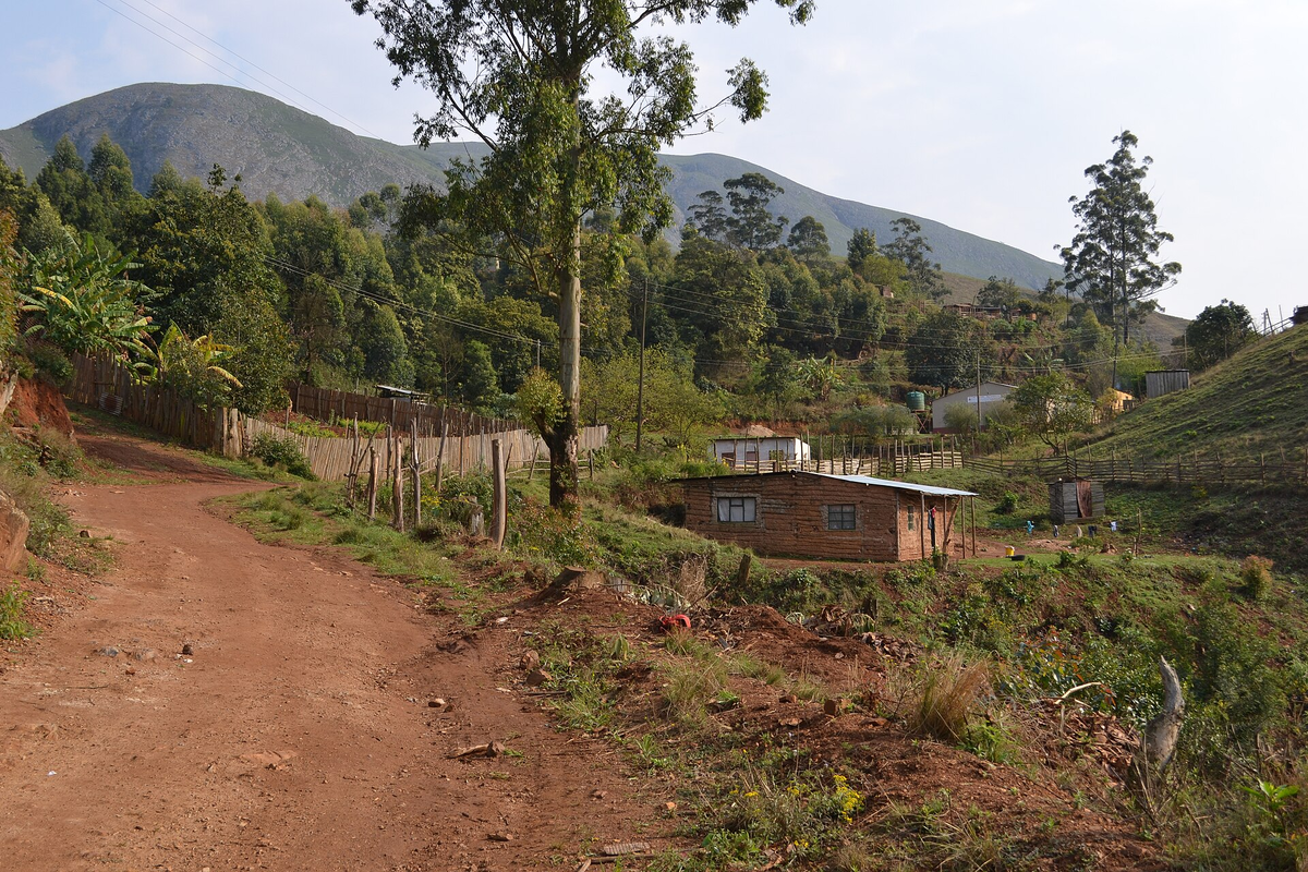 Фото с сайта https://en.wikipedia.org/wiki/Emlembe