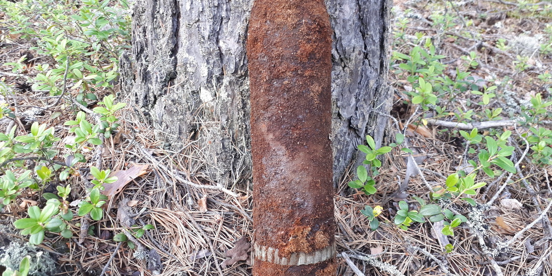 Снаряды на Карельском перешейке до сих пор лежат в лесу