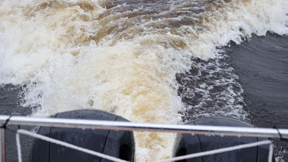    Фото: Василий Петров/«Ямал-Медиа»