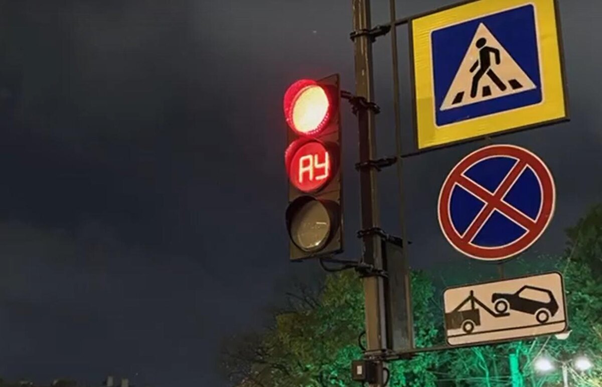 Фото: скриншот видео / VK
