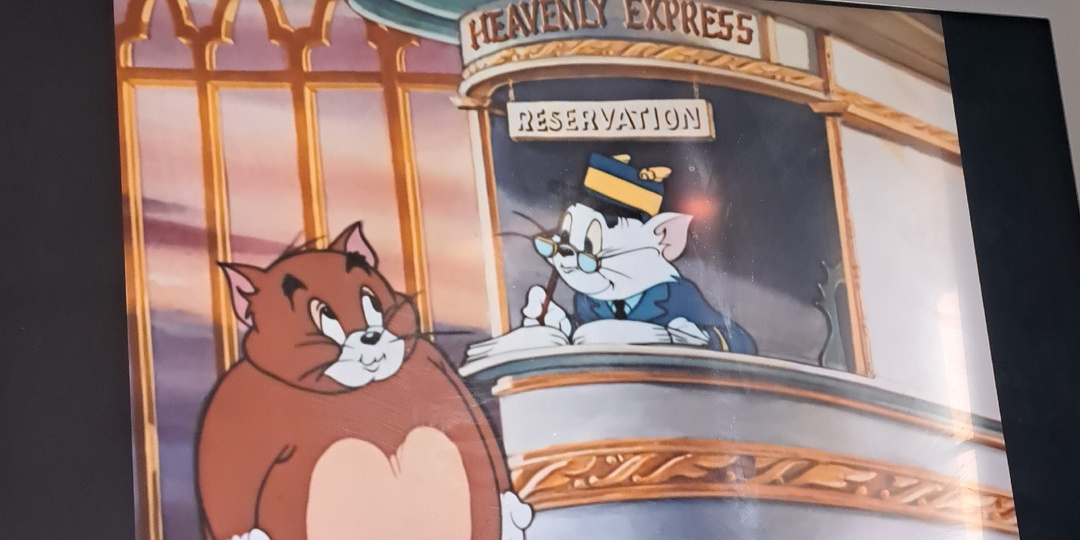 Новые взрослые смотрят мультики и не пьют алкоголь! Почему так?