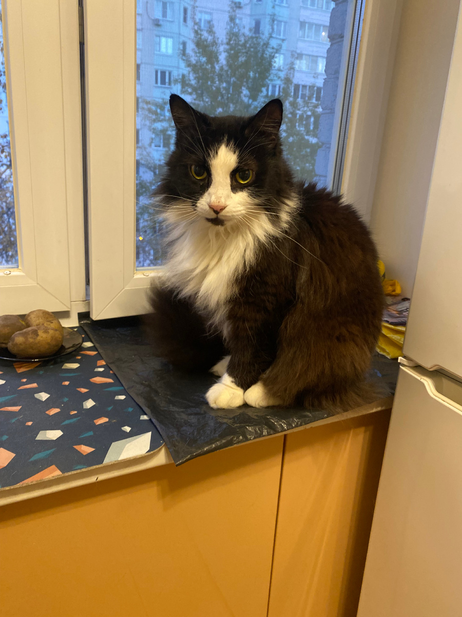 Знакомтесь это Тихон.