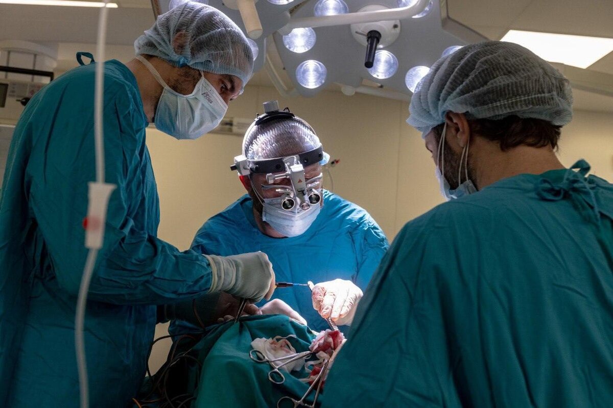 Операция прошла успешно: медикам удалось не только устранить повреждение, но и сохранить работу желудочно-кишечного тракта.