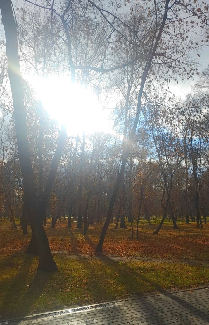 Солнце фотографировать нельзя, Но хочется...........