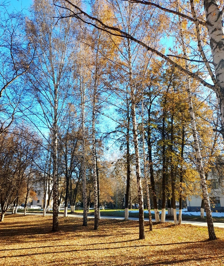 25 октября 2025